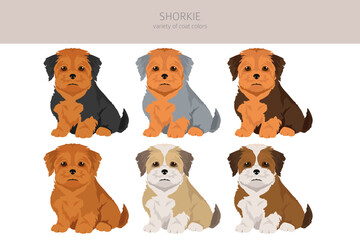 Shorkie clipart. Shih-Tzu  Yorkshire terrier mix. Different coat colors set