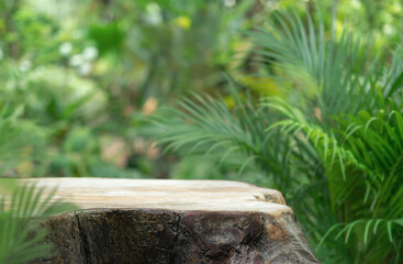 Wood tabletop counter podium floor in outdoors tropical garden forest blurred green palm leaf plant...