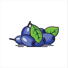 A Bunch of Blue Berberine Fruit Icon- Vibrant Vector Illustration