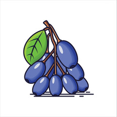 A Bunch of Blue Berberine Fruit Icon- Vibrant Vector Illustration