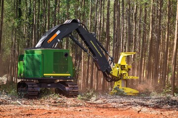 Forest Machine Logging Equipment Timber Harvesting