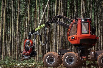 Forest Machine Logging Equipment Timber Harvesting