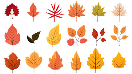 Obraz premium Autumn leaves set.Leaves icon set. Silhouette style