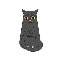 Black Surprised Cat