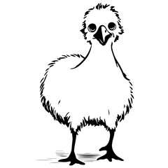 Emus baby chick kid outline illustration Australia