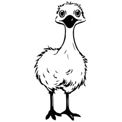 Emus baby chick kid outline illustration Australia