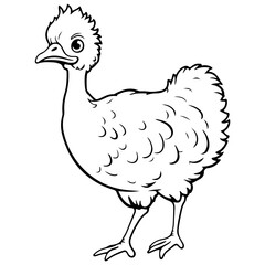 Emus baby chick kid outline illustration Australia