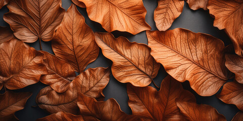 Close-up autumn dry leaf textured wallpaper. Created with AI tools