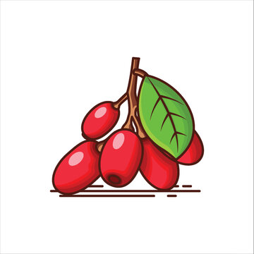 A Bunch of Red Berberine Fruit Icon- Vibrant Vector Illustration