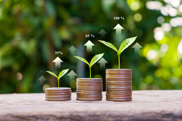 Seedlings are growing on coins with arrows of business growth. Money growth concept, finance, investment, business growth, and profit.
