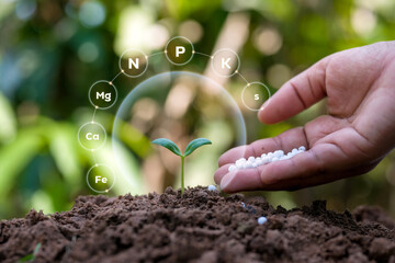 Plants growing on soil with concept of plant fertilizers, plant nutrients and necessary factors for...
