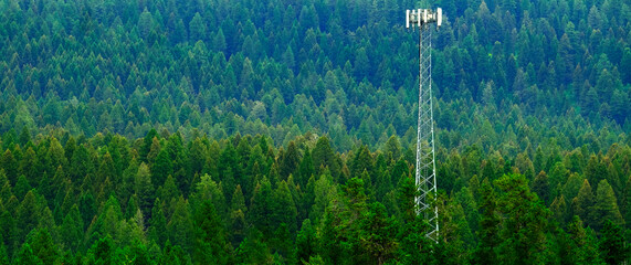 Cell or Mobile Phone Communication Tower in Pine Forest Wilderness