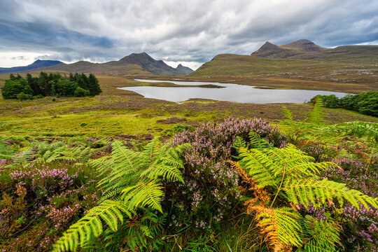 High green mountains with lakes and grassy meadows in a typical Highland landscape, Scotland.