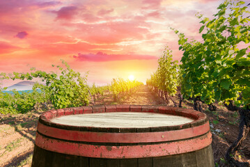 Fototapeta premium Vineyard at sunrise in San Gimignano Tuscany. High quality photo