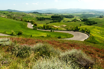 View of valley with hills and road, Tuscany. Italy - 644980212