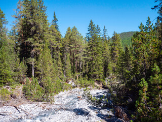 River bed in the swiss national park