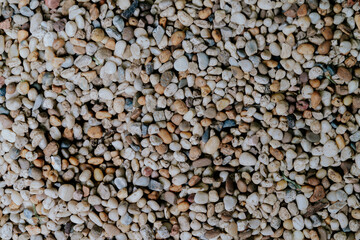 buckwheat groats background