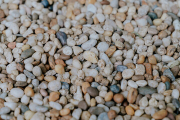 close up of a pile of rice