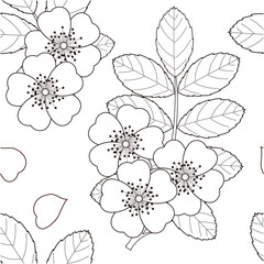 Seamless pattern of wild roses