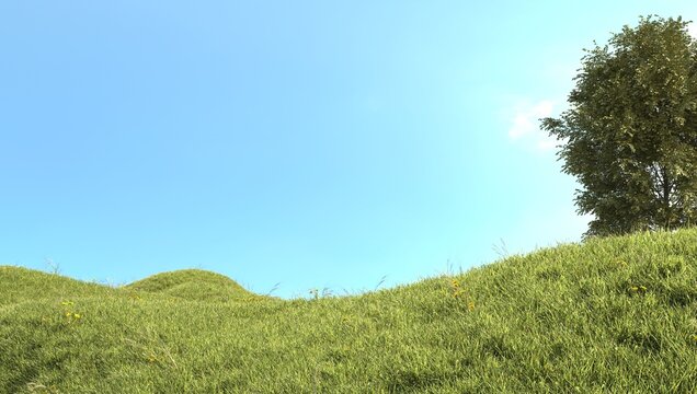 Green nature exterior composition with green grass, tree and blue sky background. 3d illustration