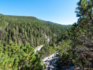 River bed in the swiss national park