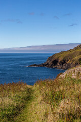 Fototapeta na wymiar The Cornish coastline near Porth Ledden, with a blue sky overhead