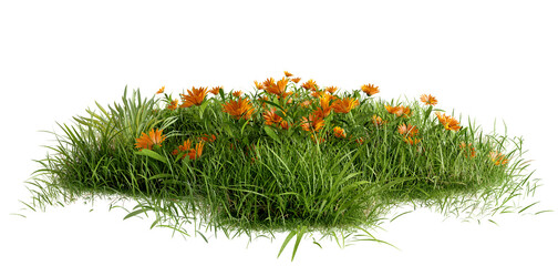 PNG Green grass field and flower, 3d illustration rendering