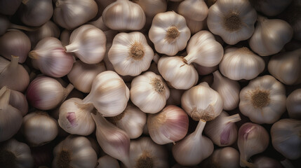 Lots of garlic. Top view of garlic. Vegetables. Agriculture.