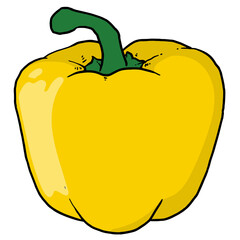 Single of yellow pepper illustration