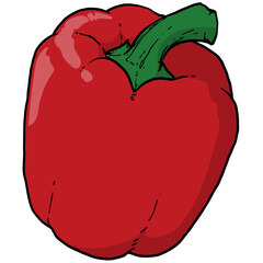 Single of red pepper illustration