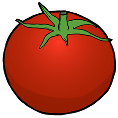 Plump of red tomato illustration