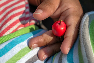 Hawthorn: A Symbol of Love and Protection. (selective focus)