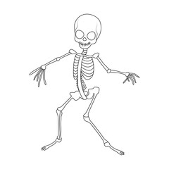 Continuous one line drawing of outline skeleton vector illustration 