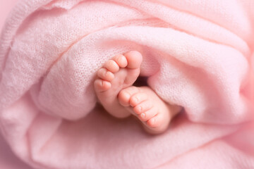 newborn's feet in pink cloth around flowers. little baby feet. care and comfort. family. hygiene. hydrangea