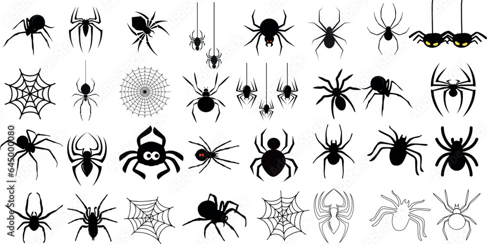 Wall mural spider vector illustration, collection of different spider types, isolated on white background. for 