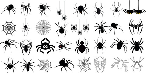 Spider vector illustration, collection of different spider types, isolated on white background. for web design, educational projects, Halloween decorations, or any other creative use, arachnids.