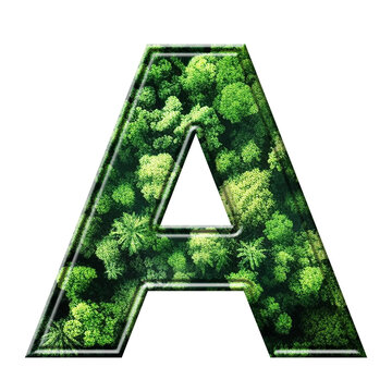 Green ALPHABETS AND NUMBERS