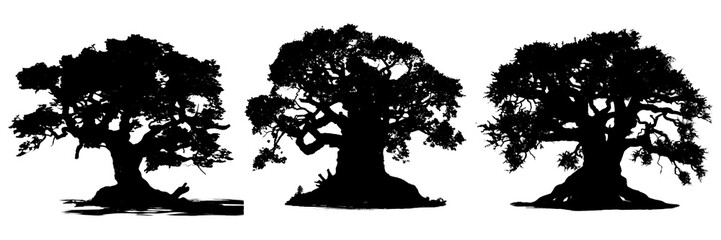 silhouette of trees on a transparent background (png) for decorating the project