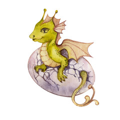 Baby dragon on white background. Handdrawn dragon. Fantasy illustration. Fairy tale. Walercolor illustration