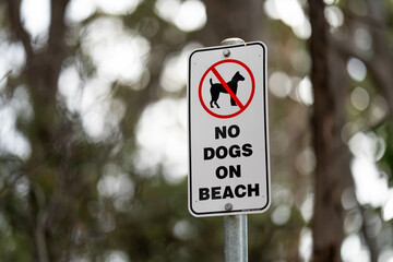 No dogs allowed signs, on a bush walking track in Australia