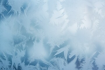 Frosty window with pine trees