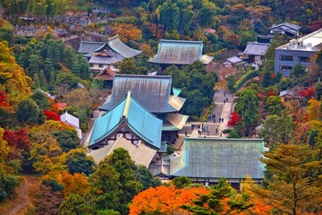 Beautiful autumn in Kamakura, Japan