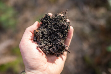 Female farmer hold soil in hands monitoring soil health on a farm in australia