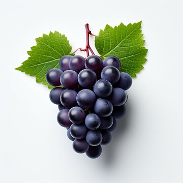 recommend clip art: bunch of grapes clip art isolated on white background