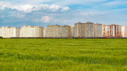 White cumulus clouds over a green field of wheat, houses in the background, Ukraine