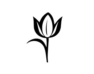 Vector illustration of hand drawn wreaths. Cute doodle floral 