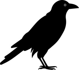 Raven flat icon