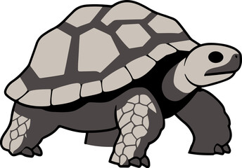 Russian tortoise flat icon