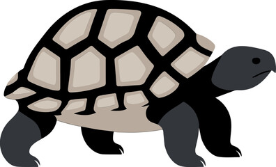 Russian tortoise flat icon