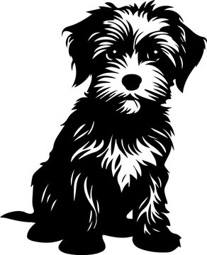 Schndoodle flat icon